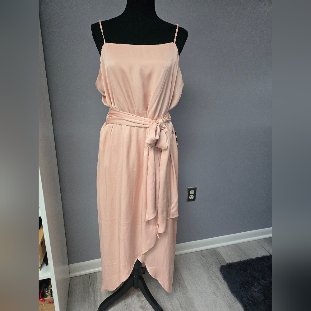 LAST CALL: BRAND NEW Express blush dress size large